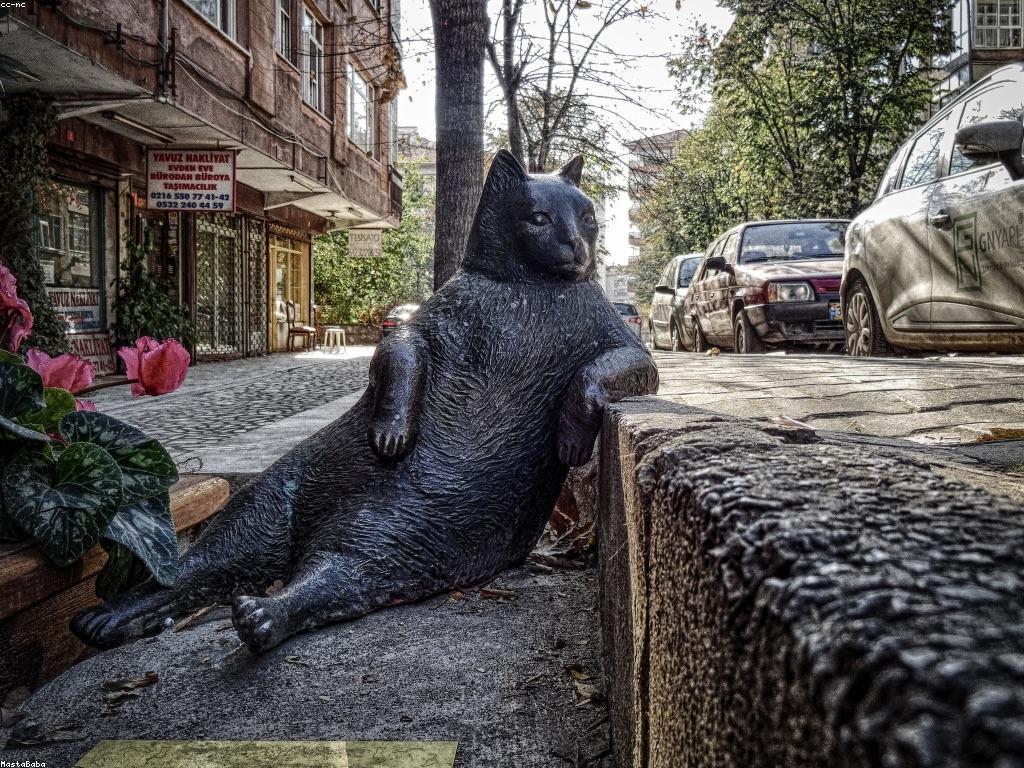 ឥទ្ធិពលនៃការប្រកួតស្លតលើការអភិវឌ្ឍន៍ថ្នាក់សង្គម