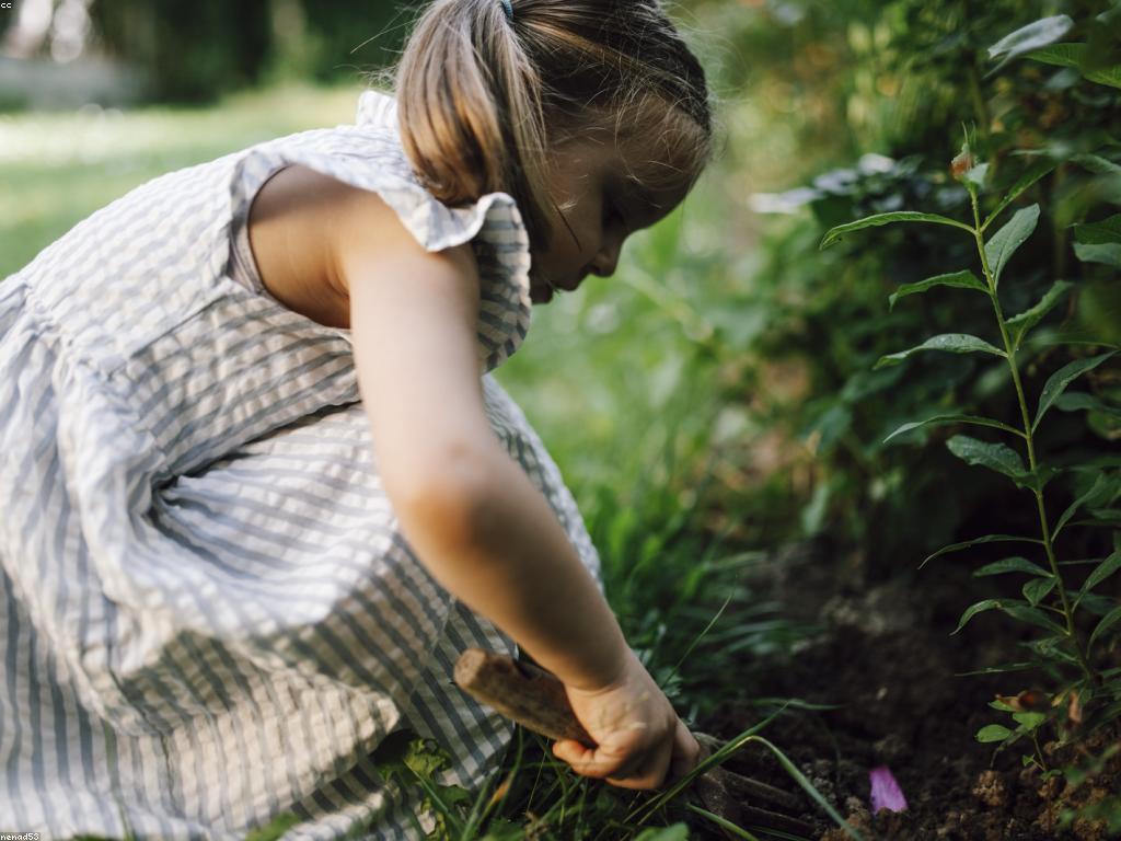 យុទ្ធសាស្ត្រលេងសម្រាប់ការគំរោងគំនិតច្នៃប្រឌិត